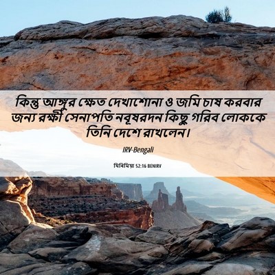 Picture 06 - যিৰিমিয়া 52:16 BENIRV - কিন্তু আঙ্গুর - Bible Verse Picture