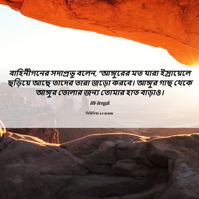 Picture 06 - যিৰিমিয়া 6:9 BENIRV - বাহিনীগনের - Bible Verse Picture