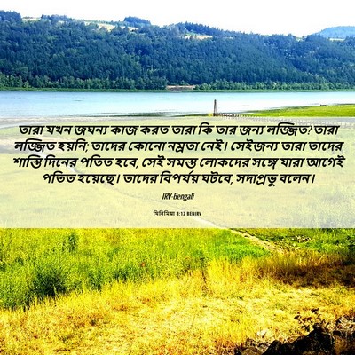 Picture 06 - যিৰিমিয়া 8:12 BENIRV - তারা যখন জঘন্য কাজ - Bible Verse Picture