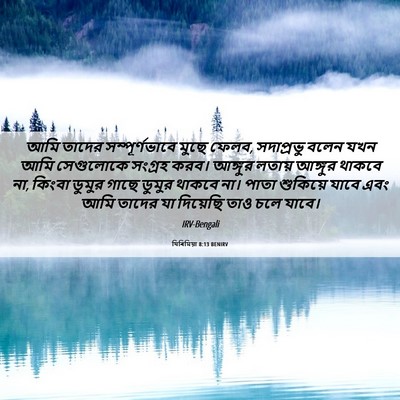 Picture 06 - যিৰিমিয়া 8:13 BENIRV - আমি তাদের - Bible Verse Picture
