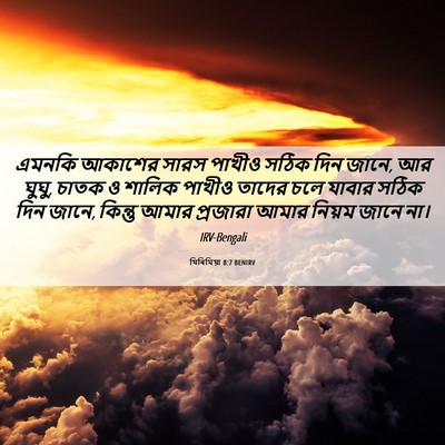 Picture 06 - যিৰিমিয়া 8:7 BENIRV - এমনকি আকাশের সারস - Bible Verse Picture