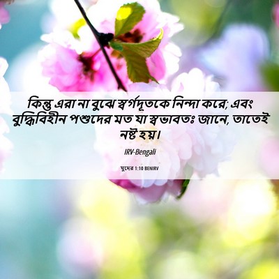 Picture 06 - যুদের 1:10 BENIRV - কিন্তু এরা না বুঝে - Bible Verse Picture