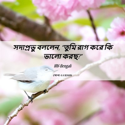 Picture 06 - যোনা 4:4 BENIRV - সদাপ্রভু বললেন, - Bible Verse Picture