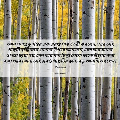Picture 06 - যোনা 4:6 BENIRV - তখন সদাপ্রভু - Bible Verse Picture