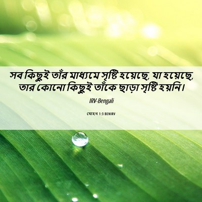 Picture 06 - যোহন 1:3 BENIRV - সব কিছুই তাঁর - Bible Verse Picture