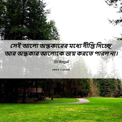 Picture 06 - যোহন 1:5 BENIRV - সেই আলো অন্ধকারের - Bible Verse Picture