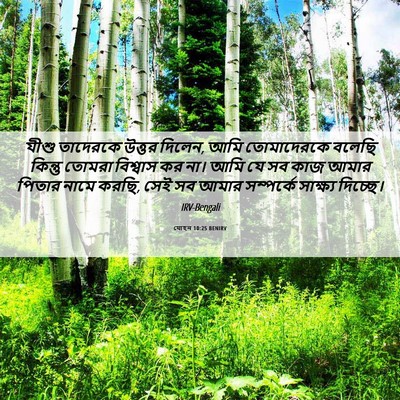 Picture 06 - যোহন 10:25 BENIRV - যীশু তাদেরকে - Bible Verse Picture