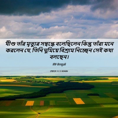Picture 06 - যোহন 11:13 BENIRV - যীশু তাঁর মৃত্যুর - Bible Verse Picture