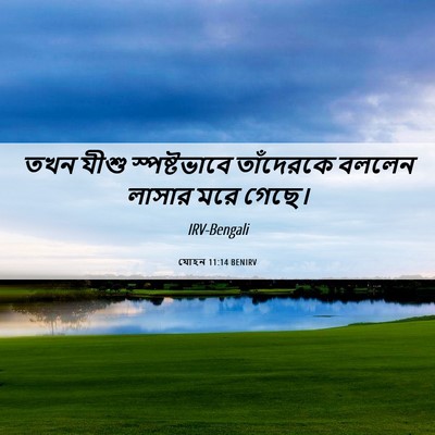 Picture 06 - যোহন 11:14 BENIRV - তখন যীশু - Bible Verse Picture