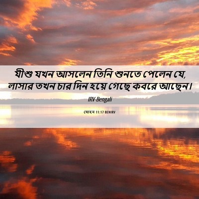 Picture 06 - যোহন 11:17 BENIRV - যীশু যখন আসলেন - Bible Verse Picture