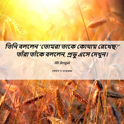 Picture 06 - যোহন 11:34 BENIRV - তিনি বললেন “তোমরা - Bible Verse Picture