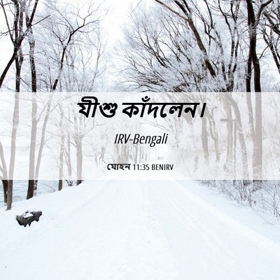Picture 06 - যোহন 11:35 BENIRV - যীশু - Bible Verse Picture