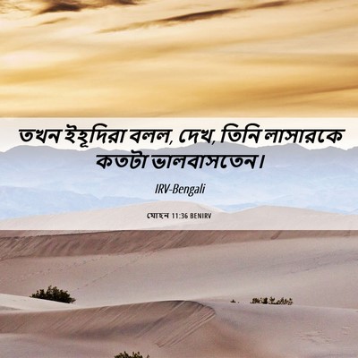 Picture 06 - যোহন 11:36 BENIRV - তখন ইহূদিরা বলল, - Bible Verse Picture