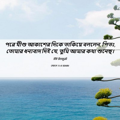 Picture 06 - যোহন 11:41 BENIRV - পরে যীশু আকাশের - Bible Verse Picture