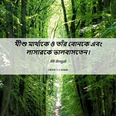 Picture 06 - যোহন 11:5 BENIRV - যীশু মার্থাকে ও - Bible Verse Picture