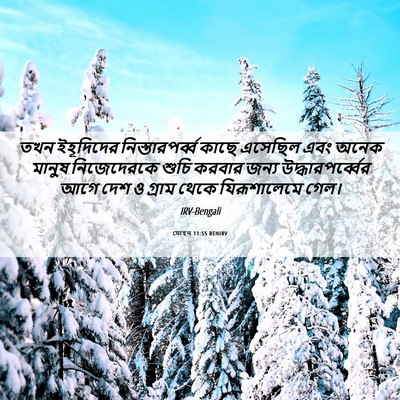 Picture 06 - যোহন 11:55 BENIRV - তখন ইহূদিদের - Bible Verse Picture