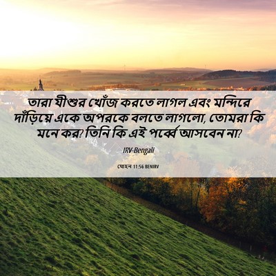 Picture 06 - যোহন 11:56 BENIRV - তারা যীশুর খোঁজ - Bible Verse Picture