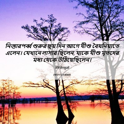 Picture 06 - যোহন 12:1 BENIRV - নিস্তারপর্ব্ব - Bible Verse Picture