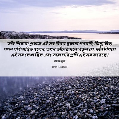 Picture 06 - যোহন 12:16 BENIRV - তাঁর শিষ্যরা - Bible Verse Picture