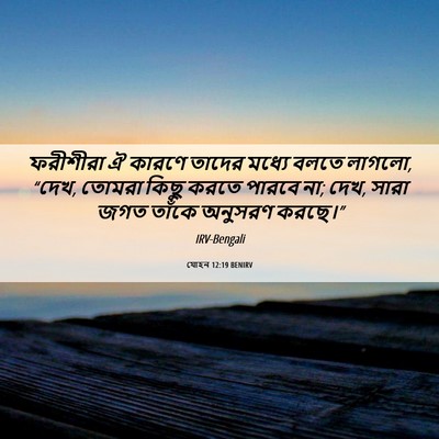 Picture 06 - যোহন 12:19 BENIRV - ফরীশীরা ঐ কারণে - Bible Verse Picture