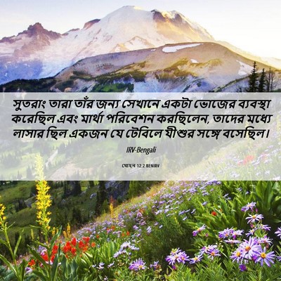 Picture 06 - যোহন 12:2 BENIRV - সুতরাং তারা তাঁর - Bible Verse Picture