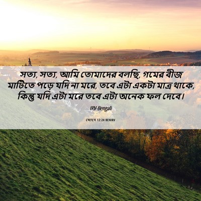 Picture 06 - যোহন 12:24 BENIRV - সত্য, সত্য, আমি - Bible Verse Picture