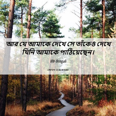Picture 06 - যোহন 12:45 BENIRV - আর যে আমাকে দেখে সে - Bible Verse Picture
