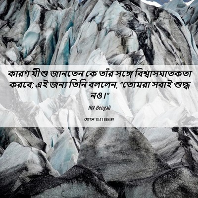 Picture 06 - যোহন 13:11 BENIRV - কারণ যীশু জানতেন - Bible Verse Picture