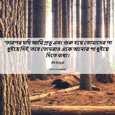 Picture 06 - যোহন 13:14 BENIRV - “তারপর যদি আমি - Bible Verse Picture