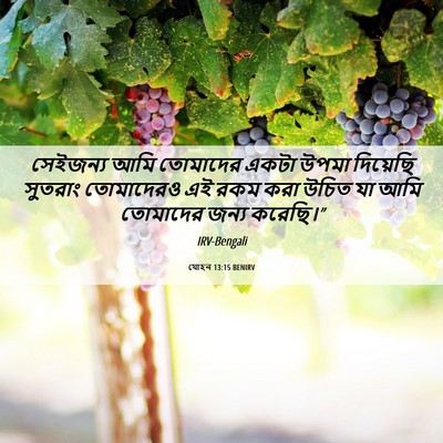 Picture 06 - যোহন 13:15 BENIRV - সেইজন্য আমি - Bible Verse Picture
