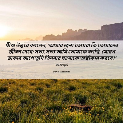 Picture 06 - যোহন 13:38 BENIRV - যীশু উত্তরে বললেন, - Bible Verse Picture