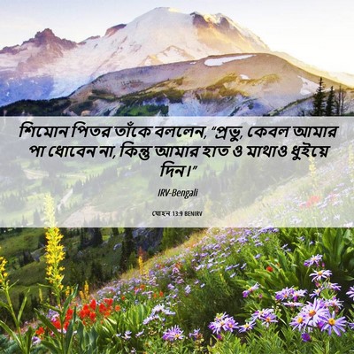 Picture 06 - যোহন 13:9 BENIRV - শিমোন পিতর তাঁকে - Bible Verse Picture