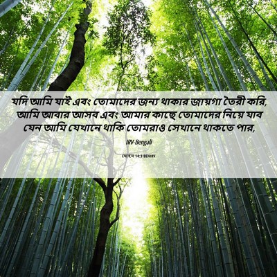 Picture 06 - যোহন 14:3 BENIRV - যদি আমি যাই এবং - Bible Verse Picture