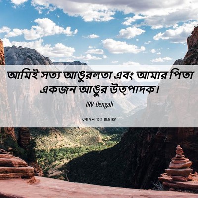 Picture 06 - যোহন 15:1 BENIRV - আমিই সত্য আঙুরলতা - Bible Verse Picture