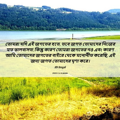 Picture 06 - যোহন 15:19 BENIRV - তোমরা যদি এই জগতের - Bible Verse Picture