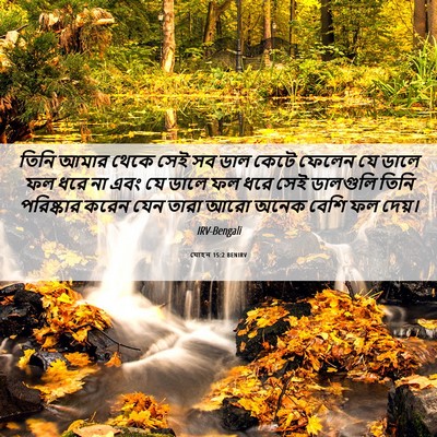 Picture 06 - যোহন 15:2 BENIRV - তিনি আমার থেকে সেই - Bible Verse Picture