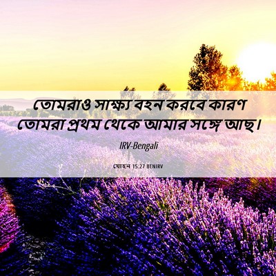 Picture 06 - যোহন 15:27 BENIRV - তোমরাও সাক্ষ্য - Bible Verse Picture