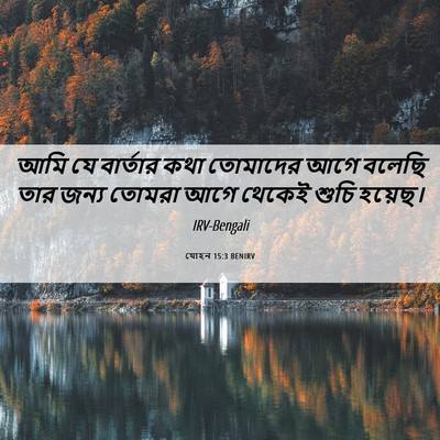 Picture 06 - যোহন 15:3 BENIRV - আমি যে বার্তার কথা - Bible Verse Picture