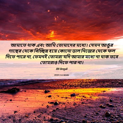 Picture 06 - যোহন 15:4 BENIRV - আমাতে থাক এবং আমি - Bible Verse Picture