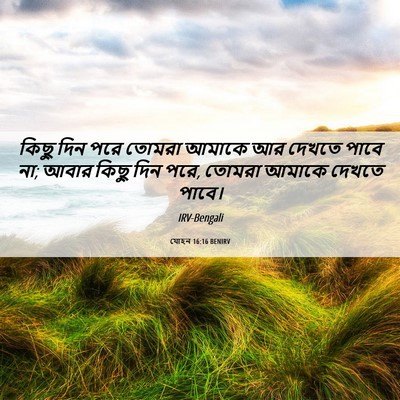 Picture 06 - যোহন 16:16 BENIRV - কিছু দিন পরে তোমরা - Bible Verse Picture
