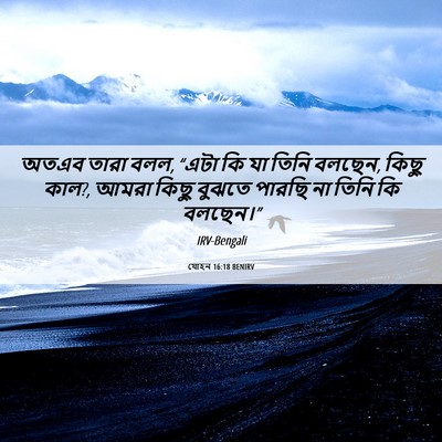 Picture 06 - যোহন 16:18 BENIRV - অতএব তারা বলল, “এটা - Bible Verse Picture