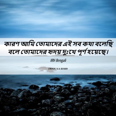 Picture 06 - যোহন 16:6 BENIRV - কারণ আমি তোমাদের - Bible Verse Picture