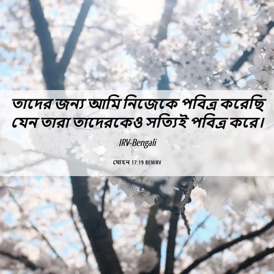 Picture 06 - যোহন 17:19 BENIRV - তাদের জন্য আমি - Bible Verse Picture
