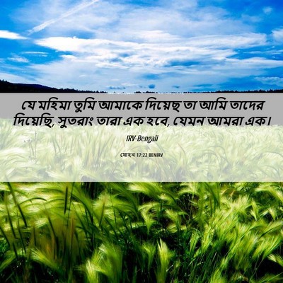 Picture 06 - যোহন 17:22 BENIRV - যে মহিমা তুমি - Bible Verse Picture