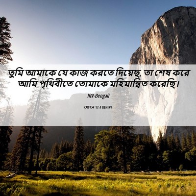 Picture 06 - যোহন 17:4 BENIRV - তুমি আমাকে যে কাজ - Bible Verse Picture