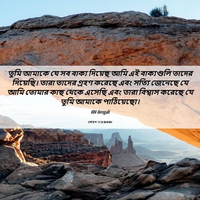 Picture 06 - যোহন 17:8 BENIRV - তুমি আমাকে যে সব - Bible Verse Picture