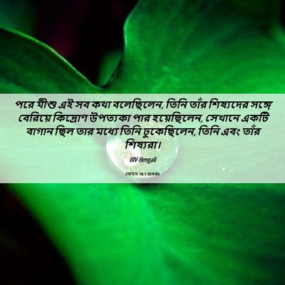 Picture 06 - যোহন 18:1 BENIRV - পরে যীশু এই সব কথা - Bible Verse Picture