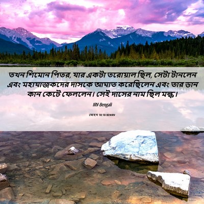 Picture 06 - যোহন 18:10 BENIRV - তখন শিমোন পিতর, যার - Bible Verse Picture