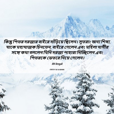 Picture 06 - যোহন 18:16 BENIRV - কিন্তু পিতর দরজার - Bible Verse Picture
