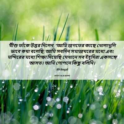 Picture 06 - যোহন 18:20 BENIRV - যীশু তাঁকে উত্তর - Bible Verse Picture